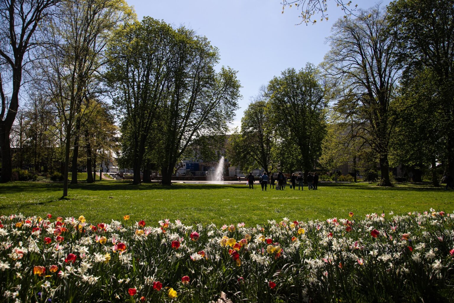 Blumen Bad Vilbel