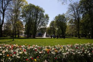 Kurpark Bad Vilbel im Frühling. Springbrunnen, grüne Wiese, Bäume und bunte Tulpen im Vordergrund.